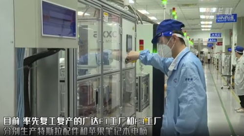 上海新增新冠病例與復工復產同步推進，計算機技術服務助力經濟復蘇