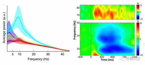 思影數(shù)據(jù)處理服務(wù)六 腦磁圖（MEG）數(shù)據(jù)處理的專業(yè)解決方案